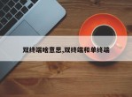 双终端啥意思,双终端和单终端